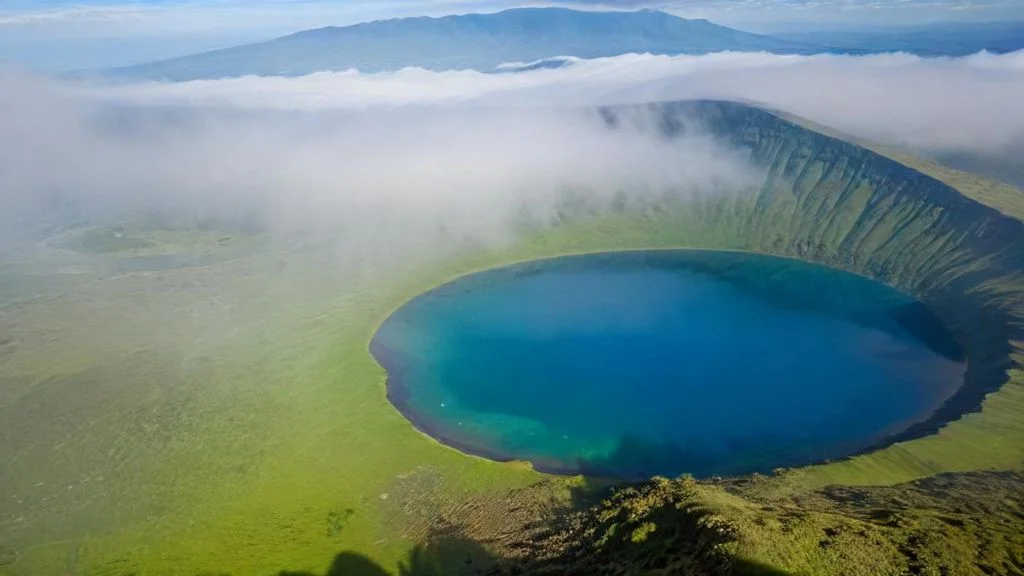 Nieskończone Równiny Serengeti